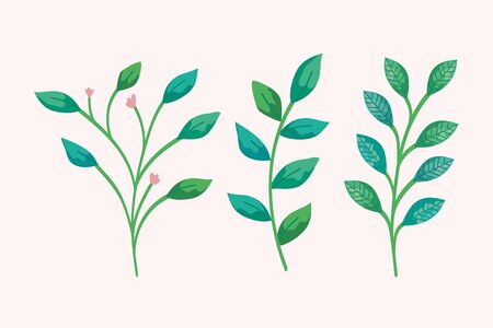 leaves set design of Floral nature plant garden ornament botany decoration and life theme Vector illustrationのイラスト素材