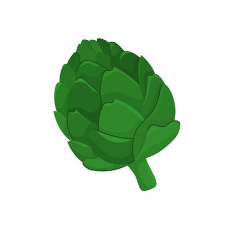 fresh and healthy artichoke isolated icon vector illustration designの写真素材