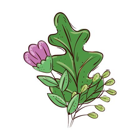 cute flower purple with branches and leafs vector illustration designのイラスト素材