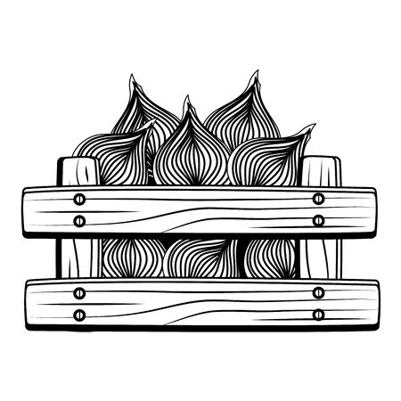 fresh onion vegetable in wooden box vector illustration designのイラスト素材