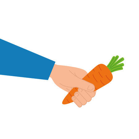 hand with carrot vegetable fresh on white background vector illustration designのイラスト素材