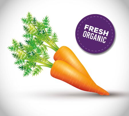 healthy carrot, fresh vegetable organic vector illustration designのイラスト素材