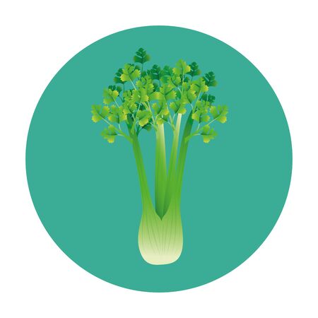 celery design, Vegetable organic food healthy fresh natural and market theme Vector illustrationのイラスト素材
