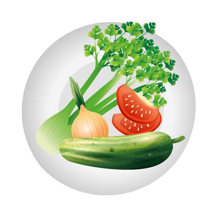 celery onion tomato and cucumber design, Vegetable organic food healthy fresh natural and market theme Vector illustrationのイラスト素材