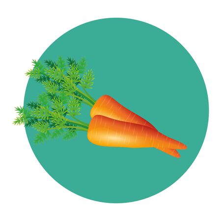 carrots design, Vegetable organic food healthy fresh natural and market theme Vector illustrationのイラスト素材