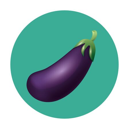 eggplant design, Vegetable organic food healthy fresh natural and market theme Vector illustrationのイラスト素材