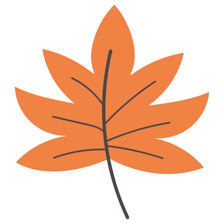 autumn leaf plant isolated icon vector illustration designのイラスト素材