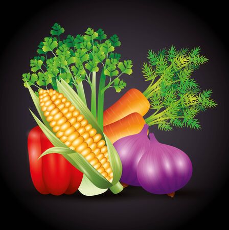 fresh organic vegetables, healthy food, healthy lifestyle or diet on black background vector illustration designのイラスト素材