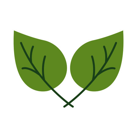 leafs plant organic flat style vector illustration designのイラスト素材