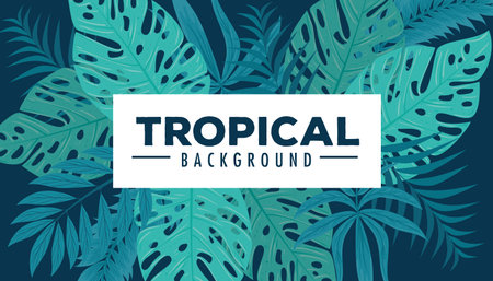 tropical background with jungle plants, decoration with palm leaves vector illustration design