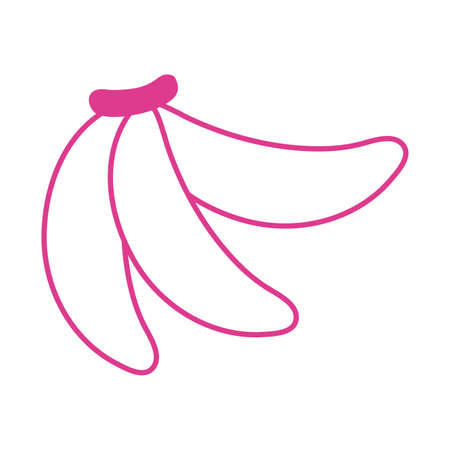 fresh bananas fruits isolated icon vector illustration designのイラスト素材