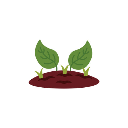 house plant cultivating flat style vector illustration designのイラスト素材