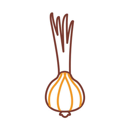 onion line style icon design, Vegetable organic food healthy fresh natural and market theme Vector illustrationのイラスト素材