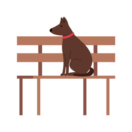 cute dog pet in park chair, on white background vector illustration designのイラスト素材