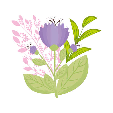 purple flowers with leaves design, natural floral nature plant ornament garden decoration and botany theme Vector illustrationのイラスト素材