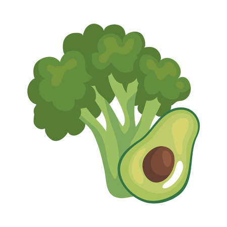 broccoli and avocado design, Vegetable organic food healthy fresh natural and market theme Vector illustrationのイラスト素材