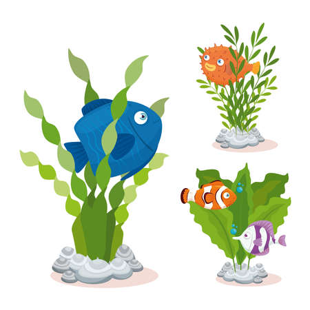 sea underwater life, fishes with seaweed on white background vector illustration designのイラスト素材