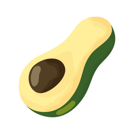avocado fresh vegetable isolated icon vector illustration designのイラスト素材