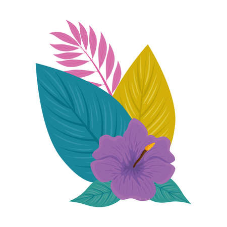 hibiscus beautiful purple color, with branch and tropical leaves, spring summer botanical vector illustration designのイラスト素材