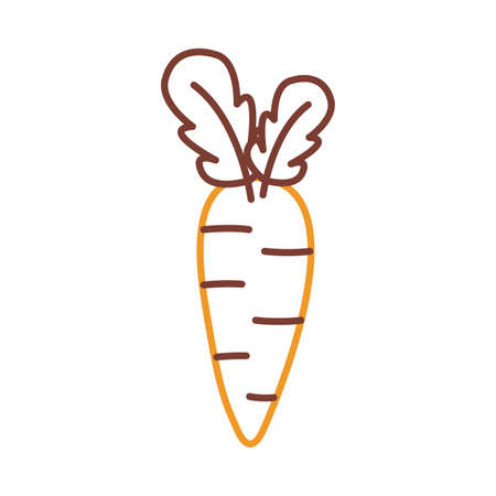 carrot line style icon design, Vegetable organic food healthy fresh natural and market theme Vector illustrationのイラスト素材