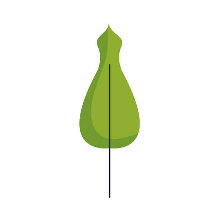 Isolated natural leaf design of Floral nature plant garden ornament botany decoration and life theme Vector illustrationのイラスト素材