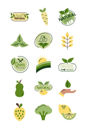 bundle of nature and organic icons vector illustration designのイラスト素材