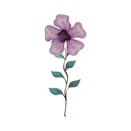 flower lilac color with branch and leaves, on white background vector illustration designのイラスト素材