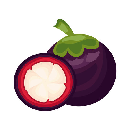 plum fresh delicious fruit detailed style icon vector illustration designのイラスト素材