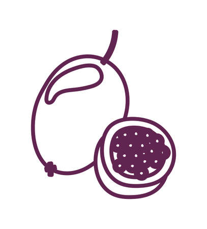 fresh passion fruit isolated icon vector illustration designのイラスト素材