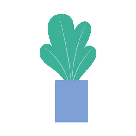 house plant in ceramic pot icon vector illustration designのイラスト素材