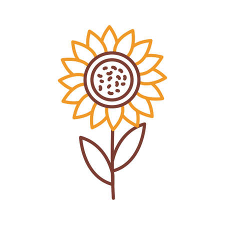 sunflower line style icon design, natural floral nature plant ornament garden decoration and botany theme Vector illustrationのイラスト素材