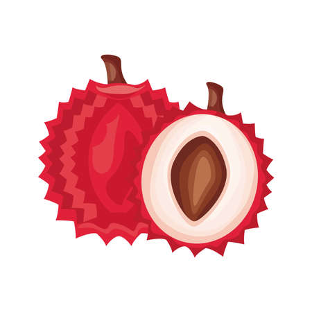 lyche fresh delicious fruit detailed style icon vector illustration designのイラスト素材