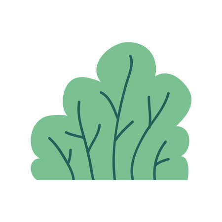bush plant ecology nature icon vector illustration designのイラスト素材