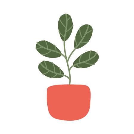 Plant inside pot design of Floral nature garden ornament botany decoration beauty and flora theme Vector illustrationのイラスト素材