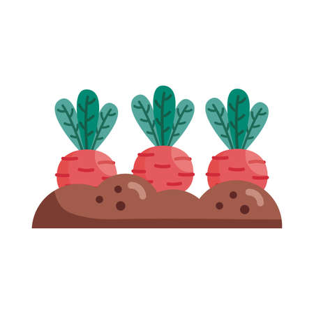 radishes on earth detail style icon design, Vegetable organic food healthy fresh natural and market theme Vector illustrationのイラスト素材