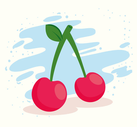 cherries fresh fruits, in white and blue background vector illustration designのイラスト素材