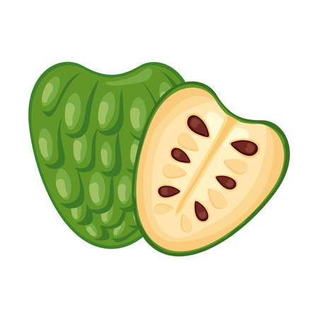 soursop fresh delicious fruit detailed style icon vector illustration designのイラスト素材