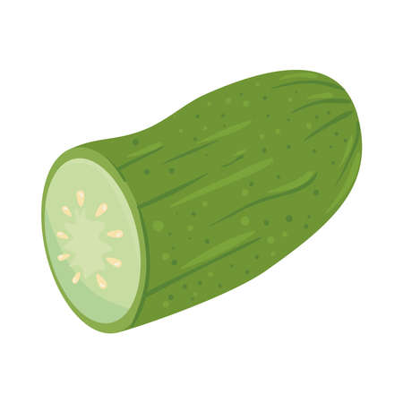 cucumber fresh vegetable, in white background vector illustration designのイラスト素材