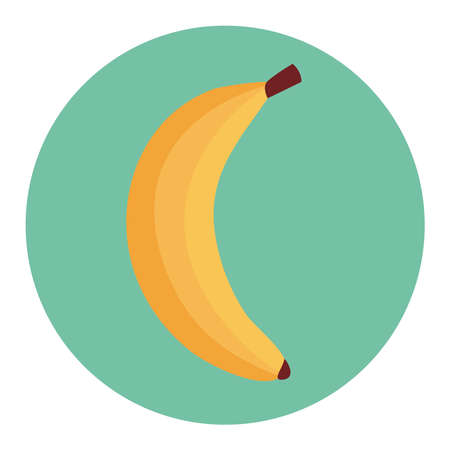 fresh banana fruit on round frame, in white background vector illustration designのイラスト素材