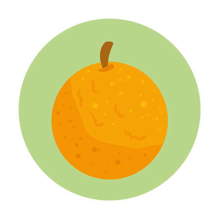 orange fresh and healthy fruit on round frame vector illustration designのイラスト素材