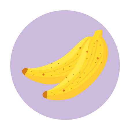 fresh bananas fruit on round frame, in white background vector illustration designのイラスト素材
