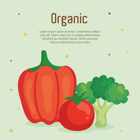 banner with vegetables organic, concept healthy food vector illustration designのイラスト素材