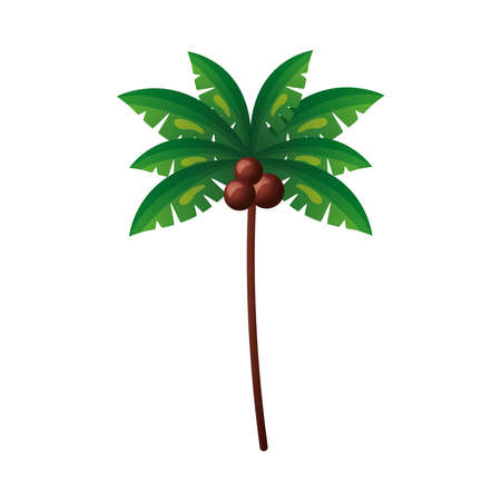 Palm tree design, Beach summer vacation tropical relaxation outdoor nature tourism relax lifestyle and paradise theme Vector illustrationのイラスト素材