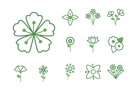 bundle of flowers half color style icons vector illustration designのイラスト素材