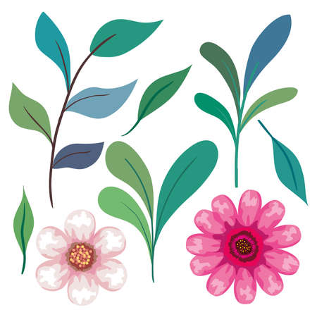 set of cute flowers color pink with branches and leaves vector illustration designのイラスト素材