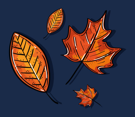 set of autumn leaves on blue background vector illustration design