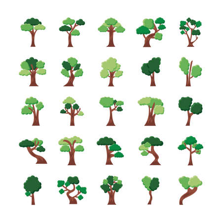 bundle of twenty five trees set icons vector illustration designのイラスト素材