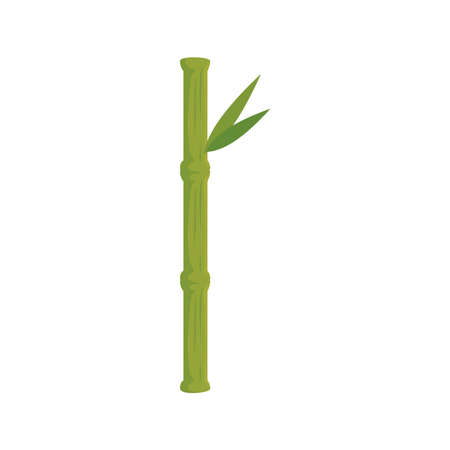 Chinese bamboo design, China culture asia and oriental theme Vector illustrationのイラスト素材
