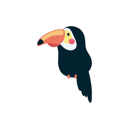 cute toucan bird animal character vector illustration designのイラスト素材