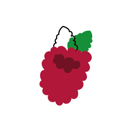 fresh berry fruit isolated icon vector illustration designのイラスト素材